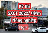 Kỳ Thi Xklđ Hàn Quốc 2022 Mất Bảo Nhiêu Tiền Việt Nam Thì Sao