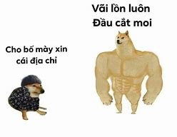 Meme Cho Bố Xin Cái Địa Chỉ