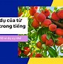 Trứng Hồng Đào Tiếng Anh Là Gì